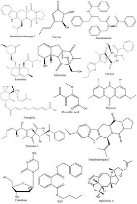 Bioprospecting of Aspergillus sp. as a promising repository for anti-cancer agents: a comprehensive bibliometric investigation